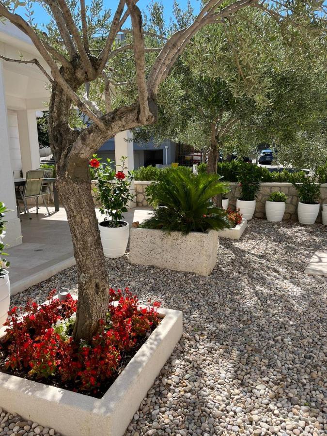 Apartman Stipic 1 Baška Voda Buitenkant foto