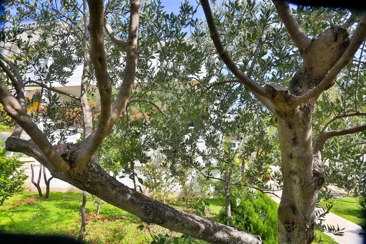 Apartman Stipic 1 Baška Voda Buitenkant foto